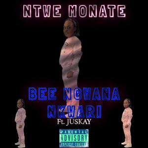 NTWE MONATE (feat. Juskay)