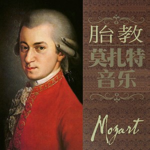 莫扎特钢琴曲k448 第一乐章