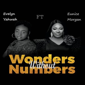 Wonders Without Numbers