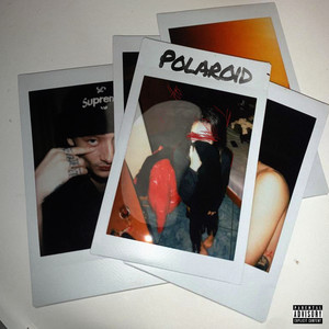 POLAROID