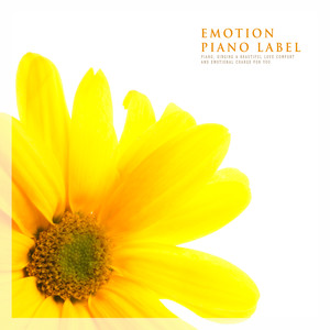 따뜻한 여운을 남기는 감성 피아노 (Emotion Piano Edition)