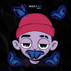 Morpho! (Explicit)