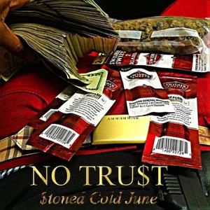 No Trust (Explicit)