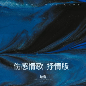 伤感情歌  抒情版 (伴奏)