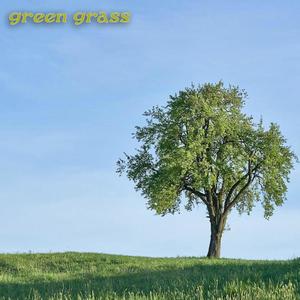 green grass