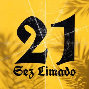 21 (feat. Sketchy Finn & Pela.lm2)