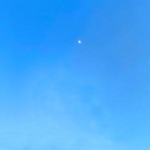 kein plan wo ich morgen bleib