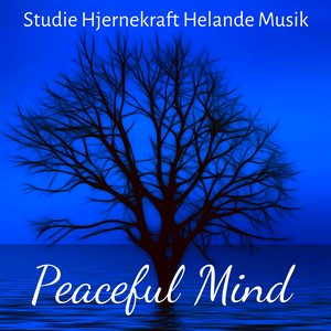 Peaceful Mind - Studie Hjernekraft Helande Musik för Djup Meditation Yoga Utbildning med Natur New Age Instrumental Ljud