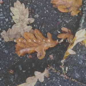 Brooklyn Fall