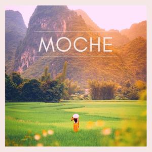 Moche