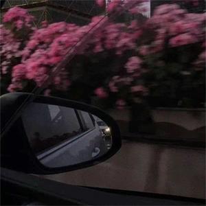 无畏的冒险 (Remix)