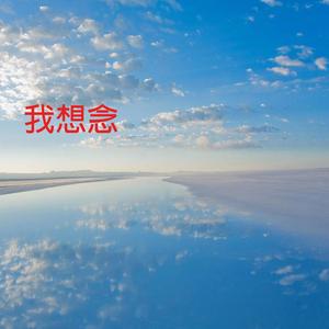 紫荆花盛开