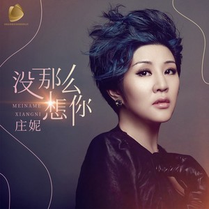 没那么想你 (DJ沈念版)