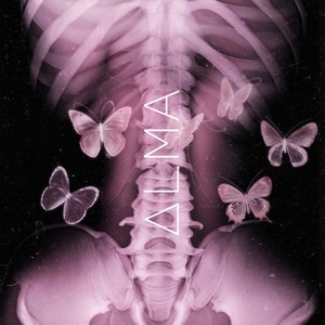 Aspen Arctic - TOstaCH