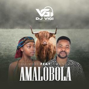 Amalobola (feat. Anande) (Explicit)
