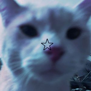 im zooted (Explicit)