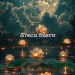 Stecu Stecu