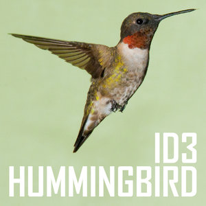 Hummingbird