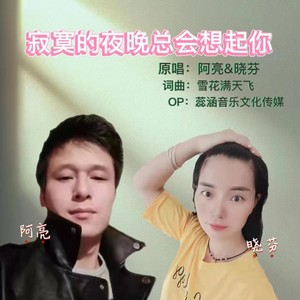 寂寞的夜晚总会想起你 (深情版)