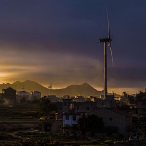 梦瘾-真的不撸猫的法拉