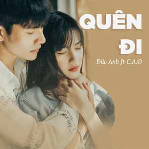 Quên Đi (Remix)