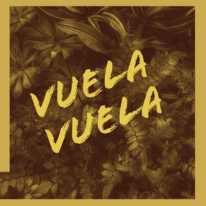 Vuela Vuela