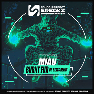 Burnt fur (Dr Beats Remix)