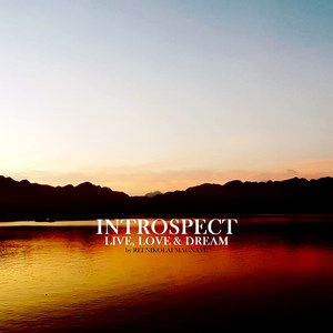 Introspect: Live, Love & Dream 3