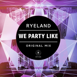 We Party Like (Original Mix)