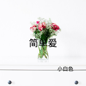 或许是我太傻 (DJ版)