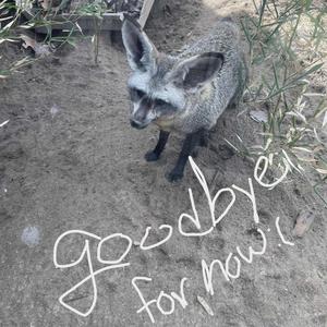 goodbye for now (Explicit)