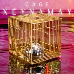 Cage