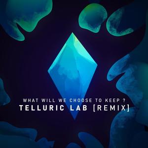 What will we choose to keep ? (Telluric Lab remix)