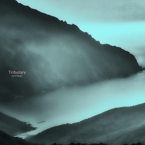 Tributary