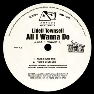 All I Wanna Do (Hula's Dub Mix)