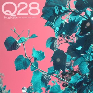 Q28 (Martin Blakke Remix)