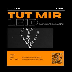 Tut Mir Leid (feat. Steek) (Steek Remix)