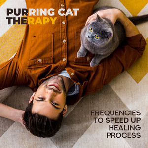 Purring Cat Therapy