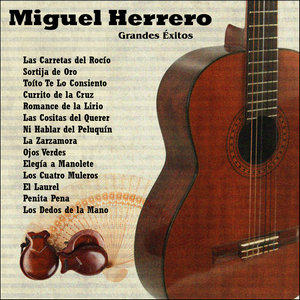 Grandes Éxitos: Miguel Herrero