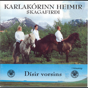 Sumarkvöld