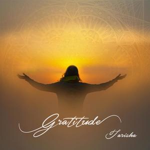 Love Finds the Way Through(feat. Carl Davies & Prabodh Senger)