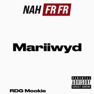 Nah FRFR (feat. RDG Mookie & Dmain_00) [Explicit]