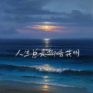 人生总是柳暗花明1.1x