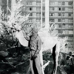 Des chiffre$ et des lettres (feat. Loww) (Explicit)