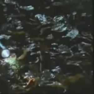 don't be scared, it's me (Explicit)