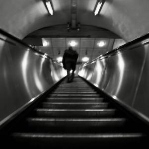 Shadows (feat. Ellysse Mason)