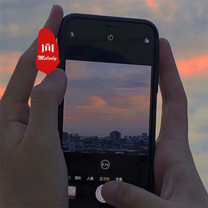 烟花易冷 (DJ版)