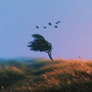 海屿你（求你别离开我）