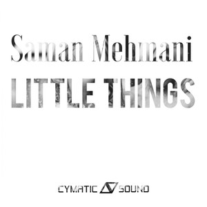 Little Things