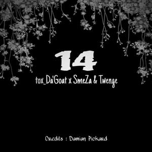 14 (feat. Smeza & Twenge) (Explicit)